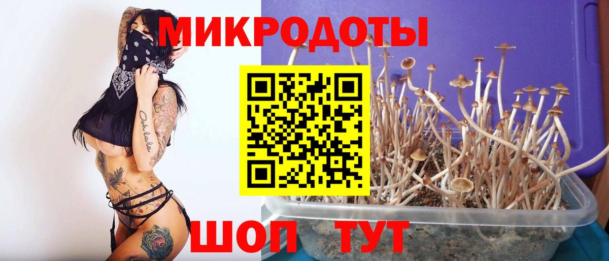 Псилоцибиновые грибы мицелий Рубцовск