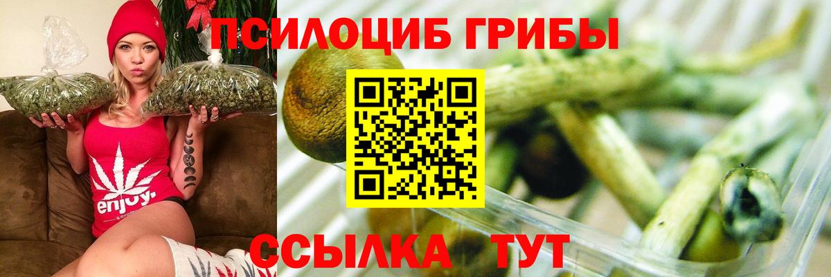 Псилоцибиновые грибы мухоморы  Галлюциногенные грибы Cubensis  Вход с VPN  Рубцовск 
